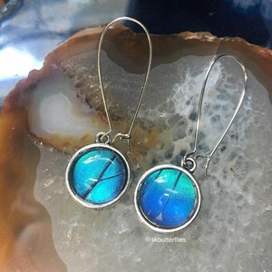 Blue Morpho Butterfly Dangle Earrings, Stainless Steel,