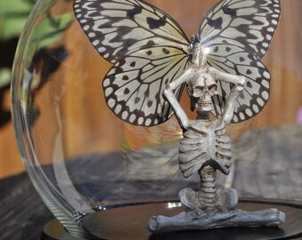Butterfly Globe, Butterfly Dome, Real Butterfly, Skeleton decorations, Halloween Decor, Scary stuff, Preserved Butterfly
