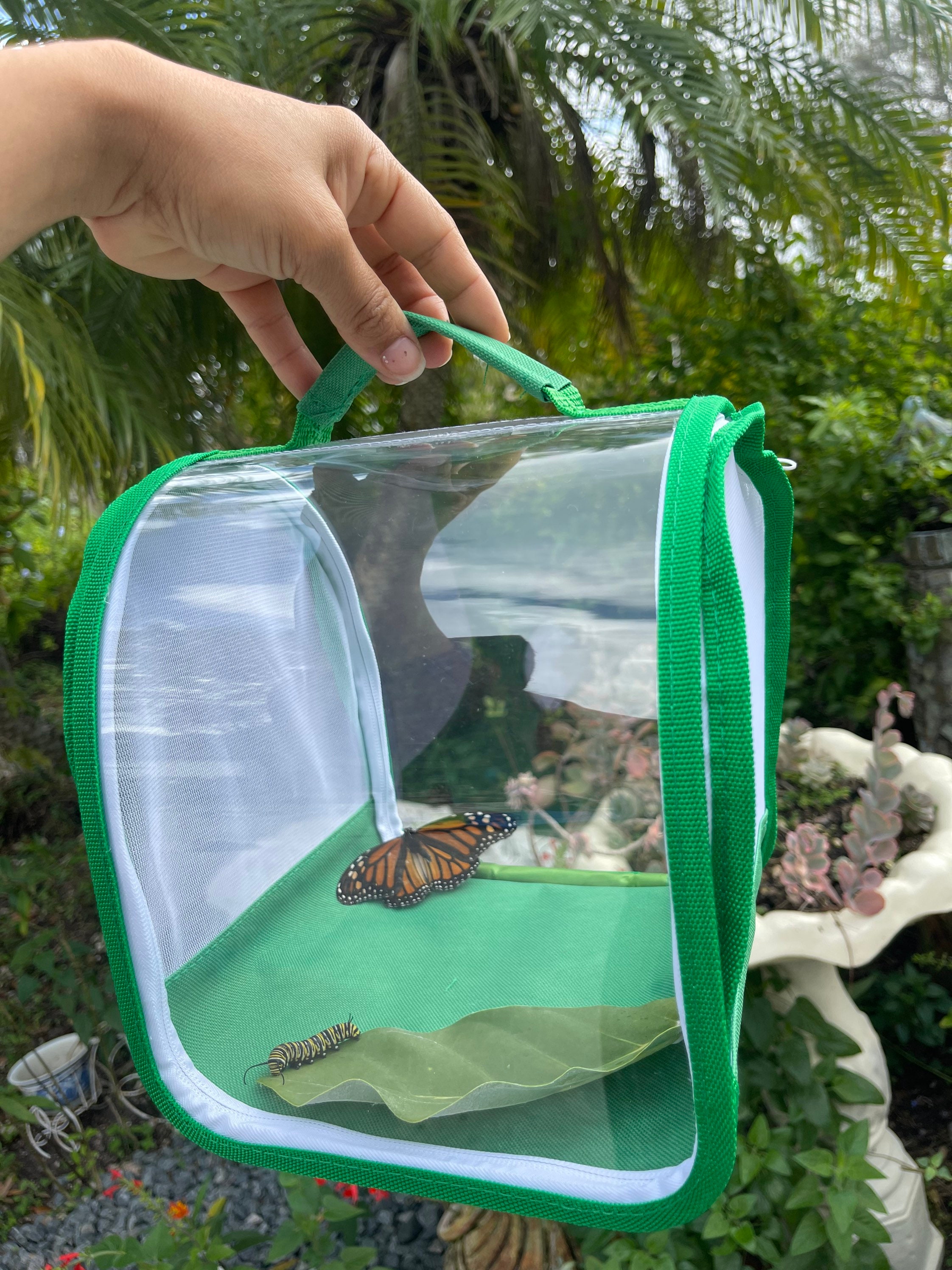 Monarch Butterfly Kits To Raise Baby Caterpillars Into, 53 OFF