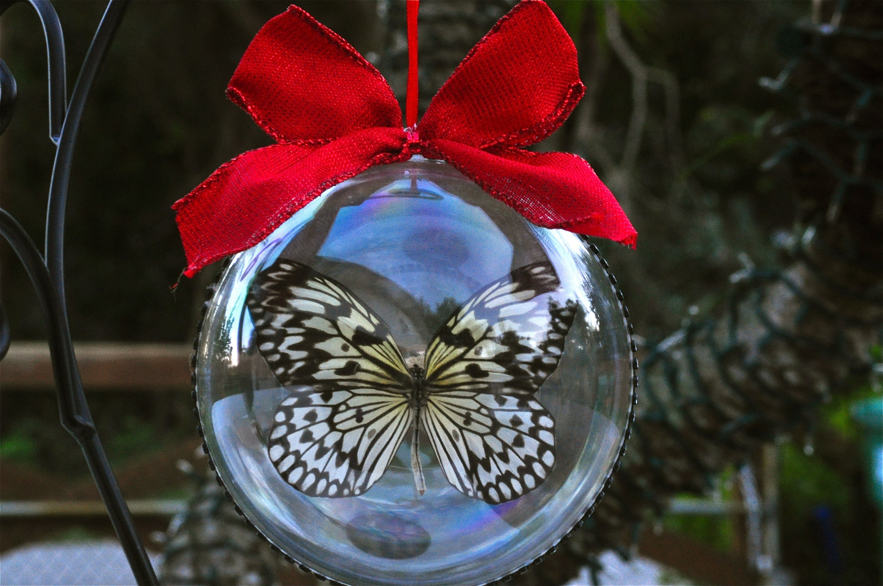 Butterfly Christmas Tree Topper - Shop on Pinterest