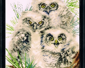 Cross Stitch Kit - Owl Trio