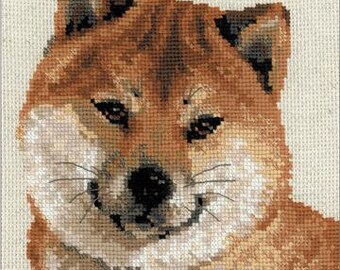 May include: A close-up of a Shiba Inu dog with brown and white fur. The dog has a friendly expression and is looking directly at the viewer.
