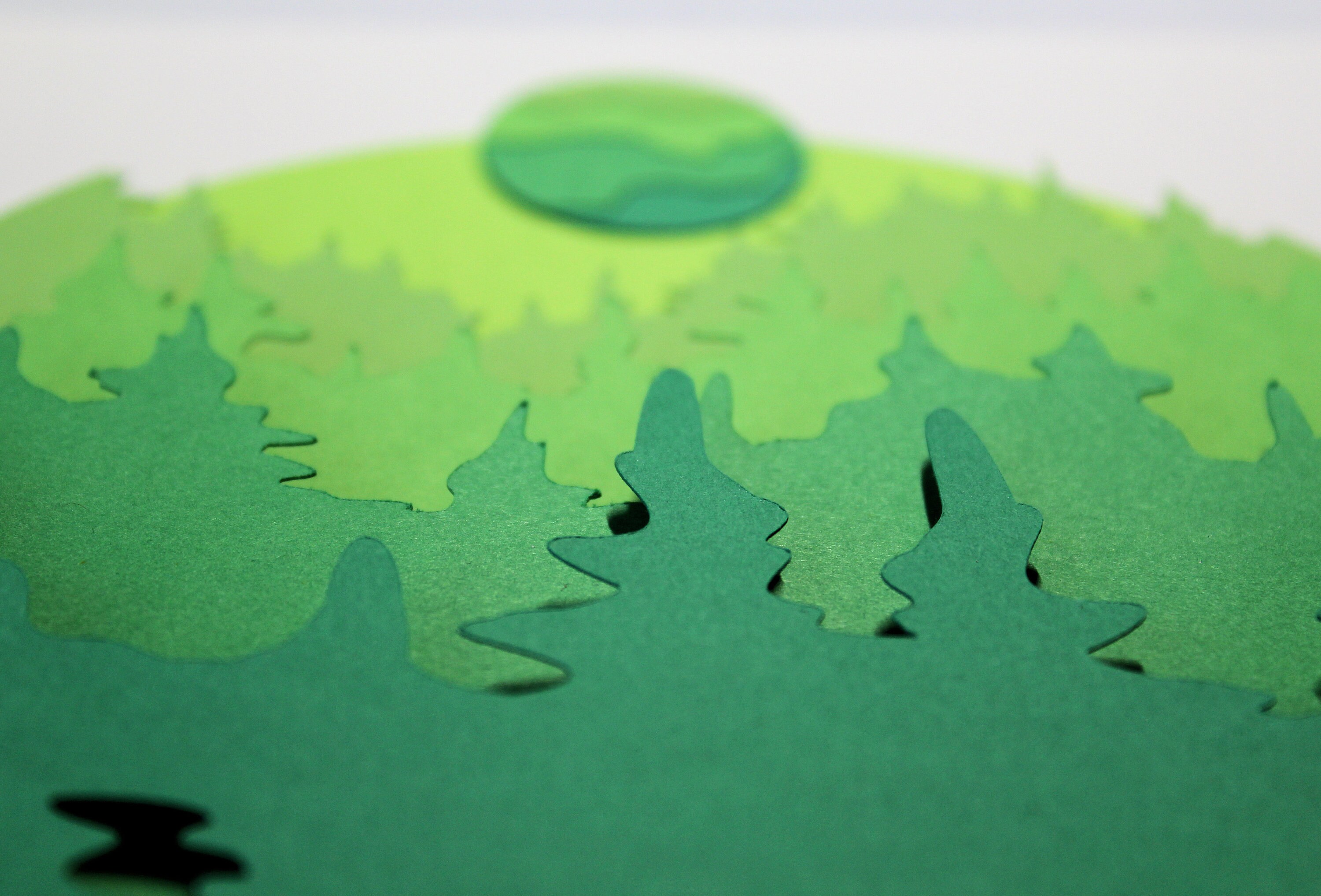 Download 3d Paper Art Summer Forest Etsy