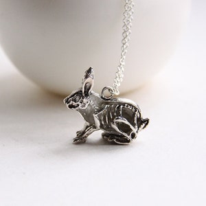 An Anatomy of a Rabbit Charm Necklace