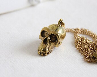 Collar/colgante de calavera de mono con media mandíbula