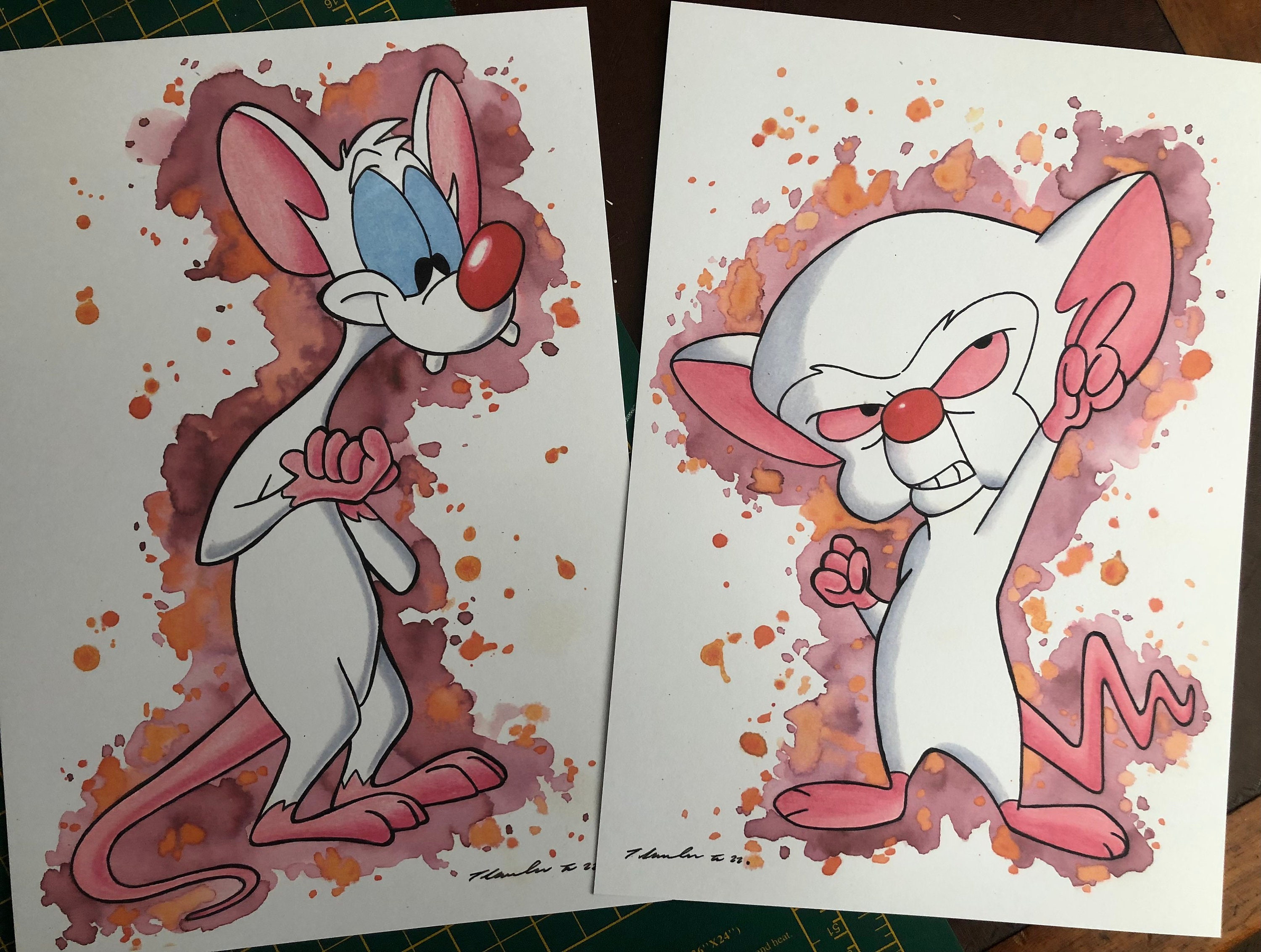 2 X PRINT .. Pinky and the Brain .. Signed Fan-art A4. - Etsy Ireland