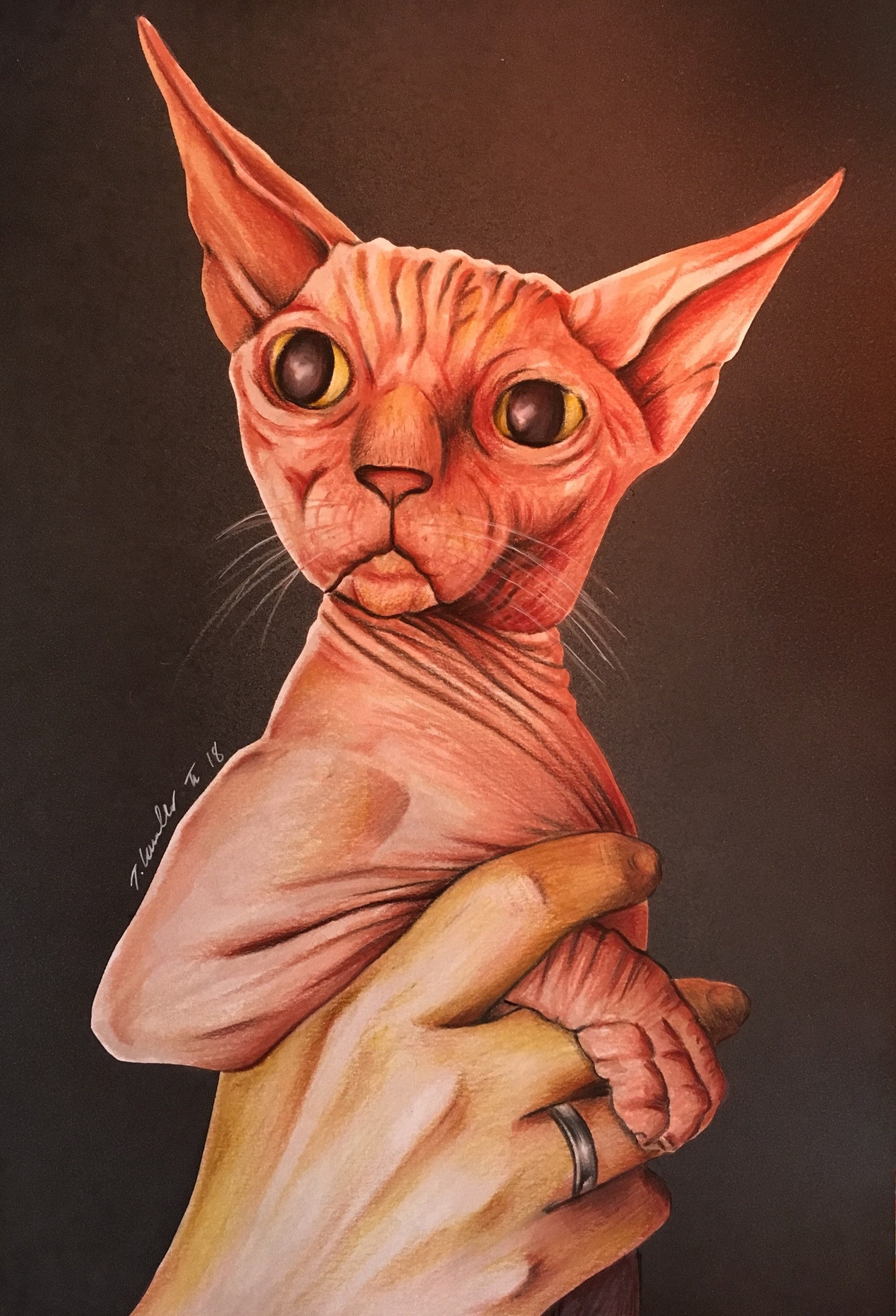 Sphynx Cat original drawing fanart A4. Etsy