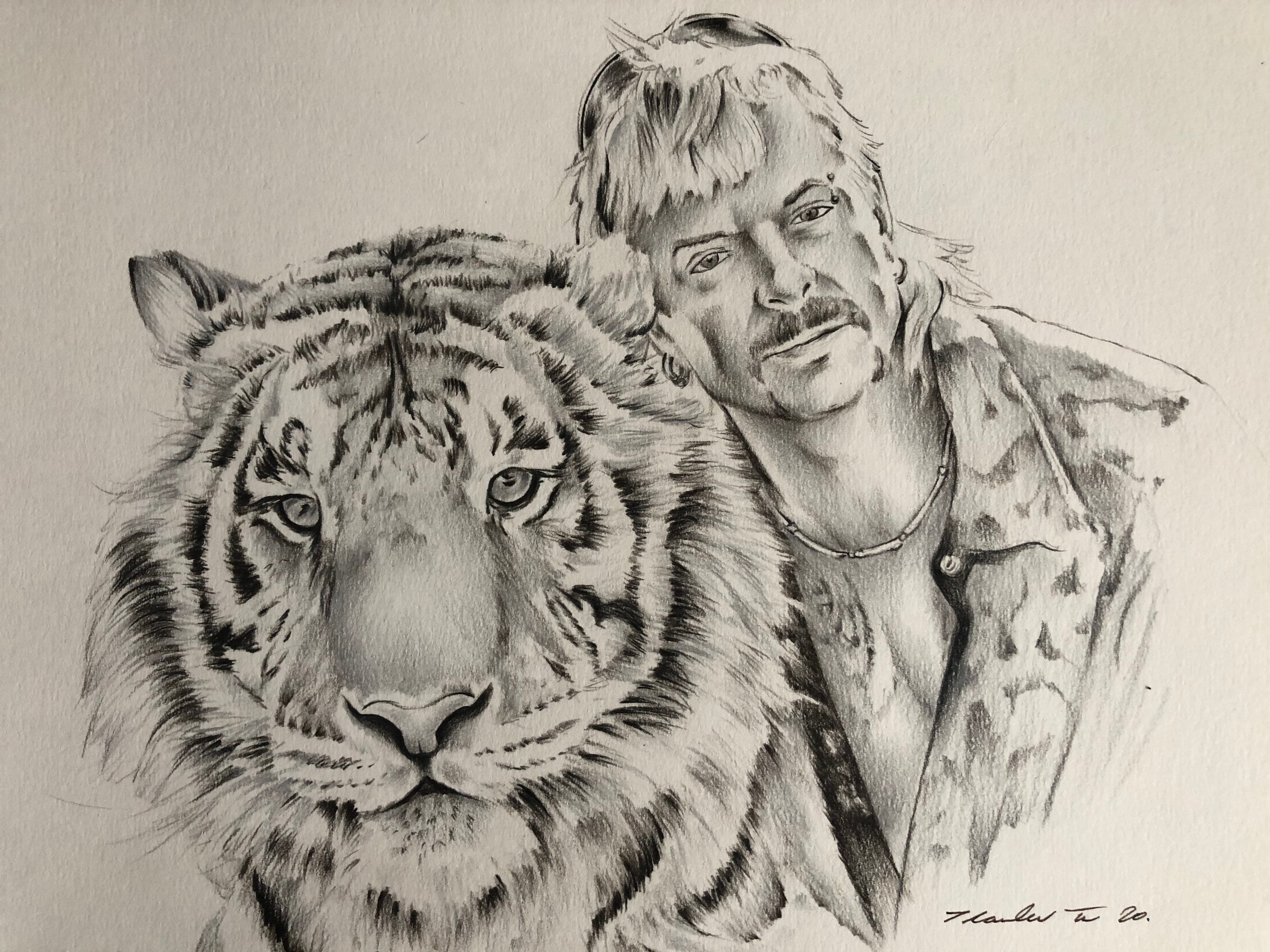Discover 201+ tiger ka sketch best