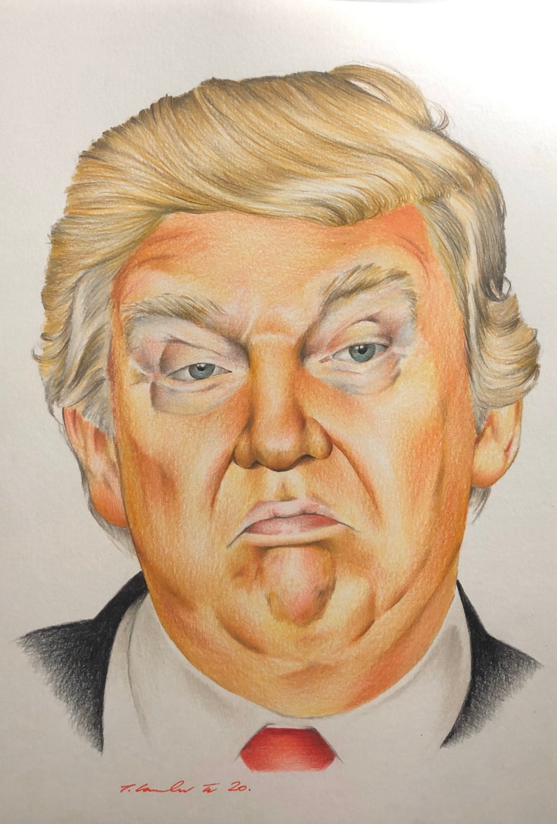 Donald Trump Original Pencil Drawing. A4 Fan-art. USA - Etsy