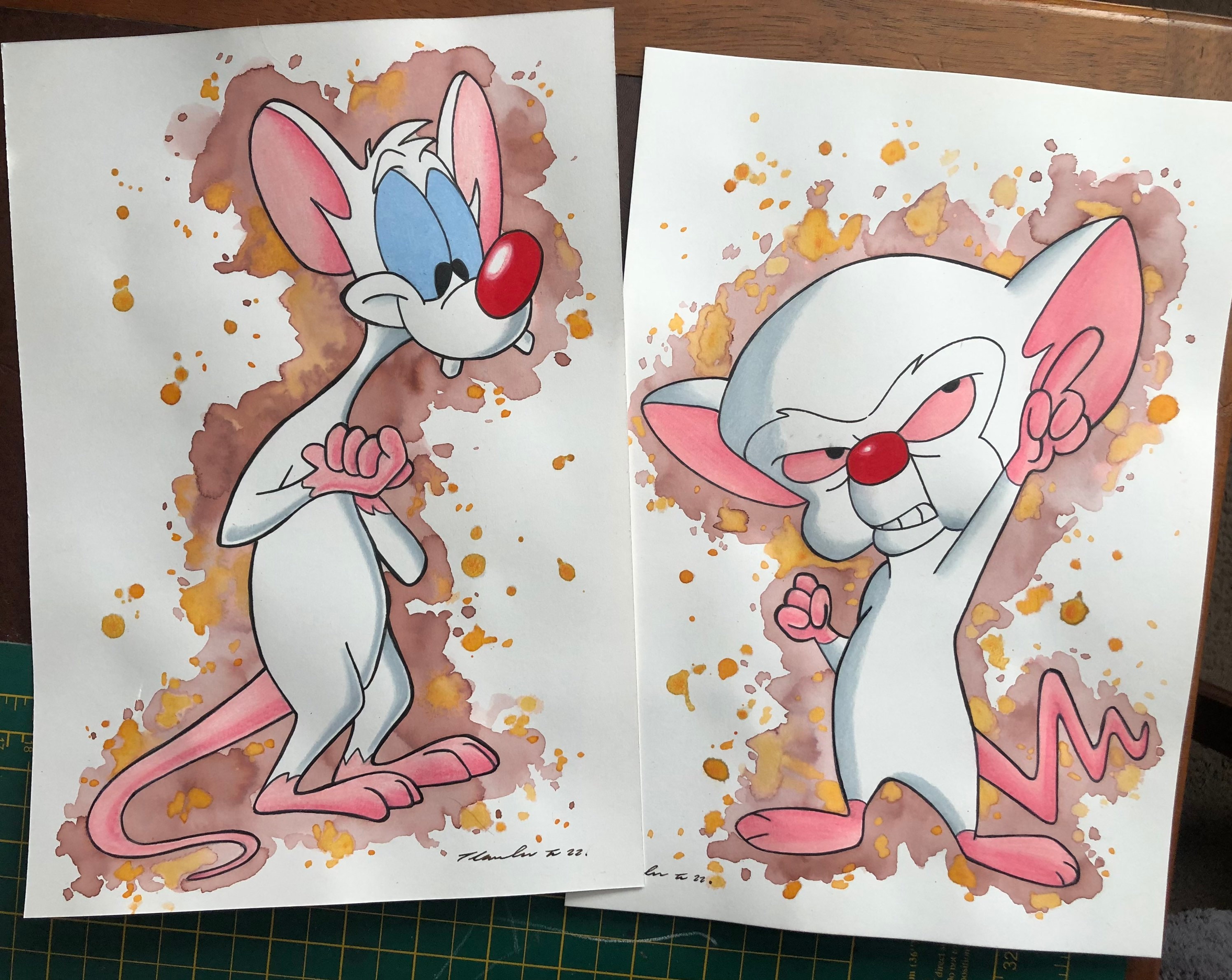 Pinky y el cerebro lápiz dibujo / pintura x 2 . Fan-ART a4 . - Etsy España