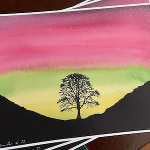PRINT.... The Sycamore Gap Tree  ... Original Fan-art ..  . signed print . Hadrians Wall