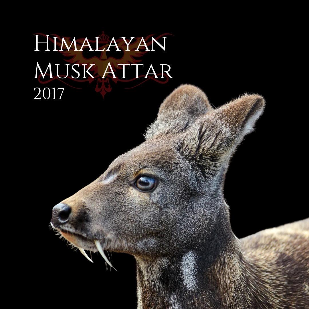 Kasturi deer musk - Etsy 日本