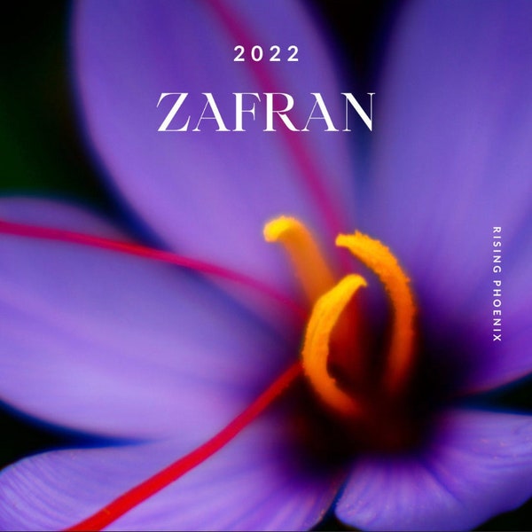 2020 Zafran Attar - Traditionally Distilled Indian Saffron Attar into Sandalwood Oil - Traditional Attar - Rising Phoenix Perfumery
