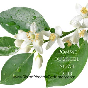 Pomme du Soleil Attar 2019 - Scent of my SoCal Backyard - Rising Phoenix Perfumery