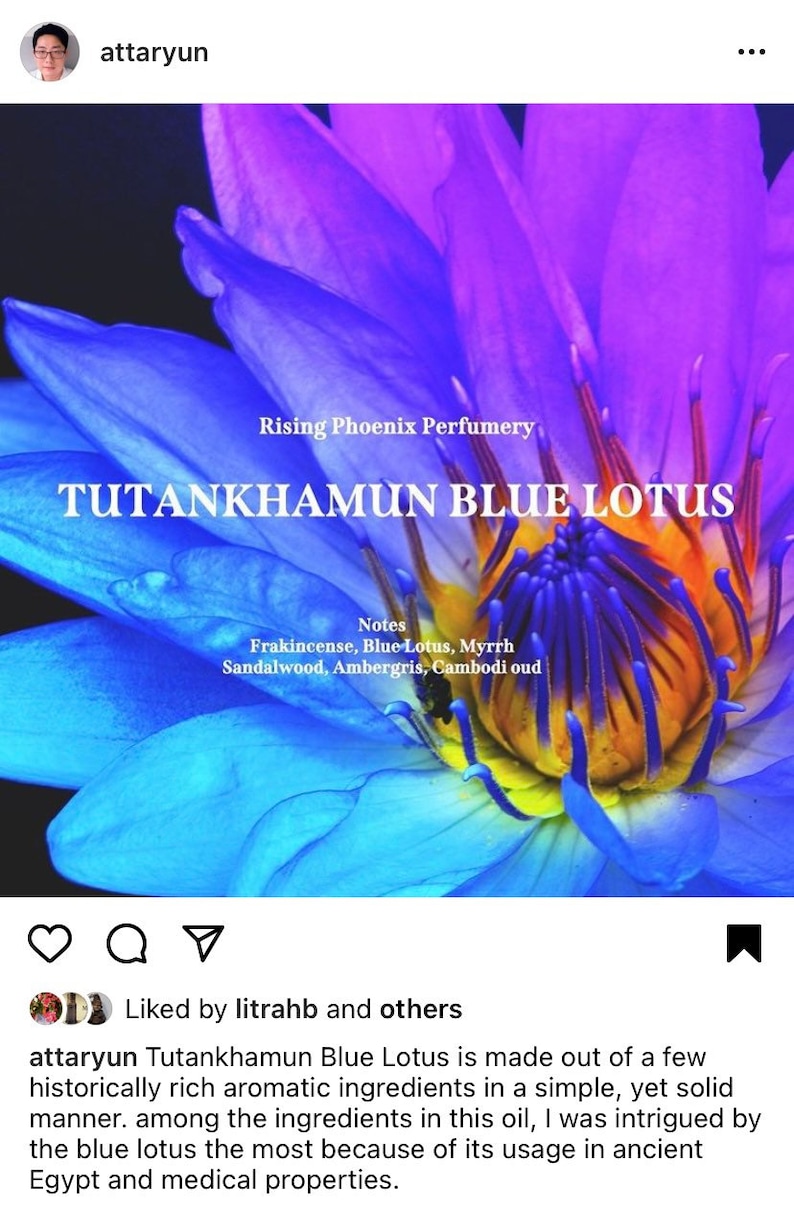 Tutankhamun 4.0 Blue Lotus Attar 2023 NEW BATCH image 7