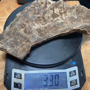 Nagaland Char Agarwood Chips - Wild Hindi Oud Wood