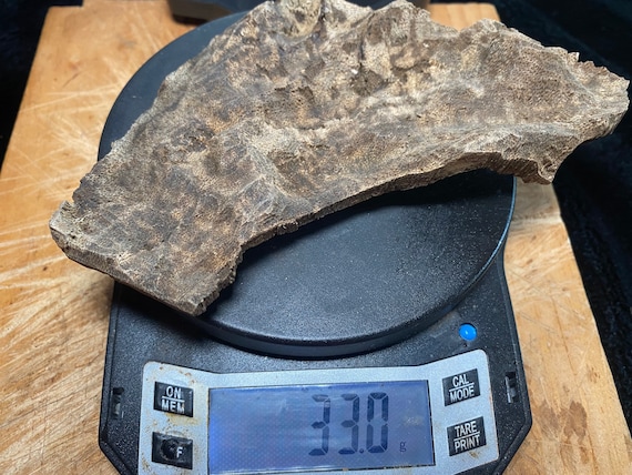 Nagaland Char Agarwood Chips Wild Hindi Oud Wood Etsy