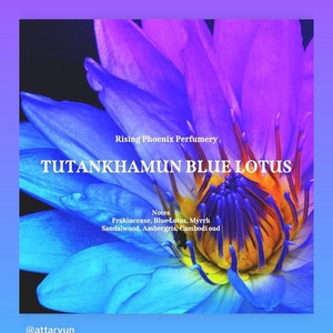 Tutankhamun 4.0 Blue Lotus Attar 2023 NEW BATCH image 4