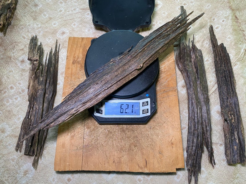 Panisagar Tripura : Triple Agarwood Heartwood Chips image 10