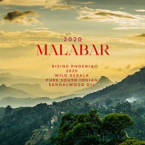 2020 Malabar - Pure South Indian Sandalwood Oil - Malabar Coast (Modern Day Kerala) - Rising Phoenix Perfumery