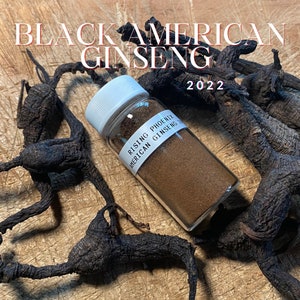 Old Black American Ginseng 20-35+ Year Old Roots 10-30g Powder : 9x - Steamed and Powdered Wild American Ginseng