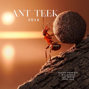 May include: A close-up image of a red ant carrying a large, round, brown object. The ant is on a piece of dark brown wood. The text "ANT-TEEK 2016" is at the top. The text "RISING PHOENIX MALAYSIAN ANT WOOD PURE OUD" is at the bottom.