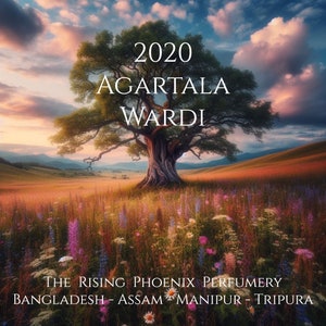 Puede incluir: Un paisaje pintoresco con un gran árbol en el centro, rodeado de un campo de flores silvestres. El cielo es una mezcla vibrante de rosa, naranja y azul. El texto "2020 AGARTALA WARDI THE RISING PHOENIX PERFUMERY BANGLADESH - ASSAM - MANIPUR - TRIPURA" se muestra en la parte inferior de la imagen.
