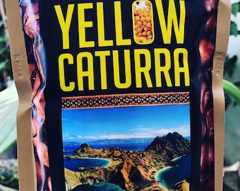 Yellow Caturra Kuning Coffee - Flores Island : Rare Indonesian Coffee