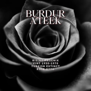 May include: Black and white close-up photograph of a rose with the text "BURDUR ATEEK RISING PHOENIX VINT 1950-1970 TURKISH EXTINCT ROSE OTTO" in red.