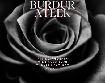 Burdur Ateek : Vintage 1950 - 1970 Turkish Istanbul Rose Otto - Rare - Rising Phoenix Perfumery