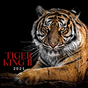 Tiger King II 2021 - TK2 Bead Grade Malaysian Tigerwood Pure Oud Oil