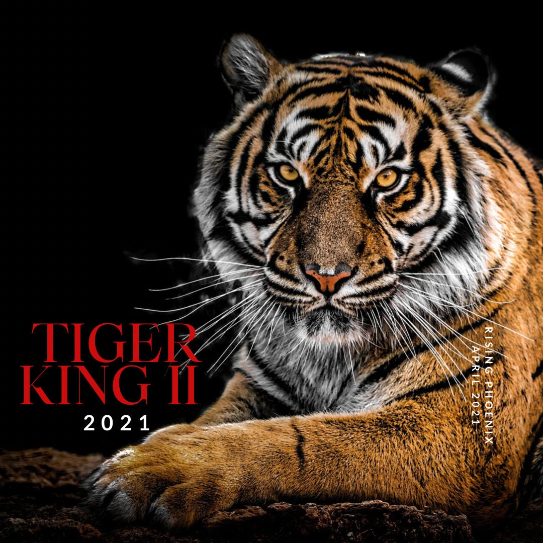 Massive hype around Bengal Tiger - Hollywood News 