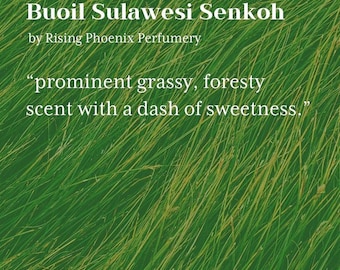 Buol Sulawesi 2021 Varitas de incienso Senkoh: aroma a hierba y bosque - Indonesia