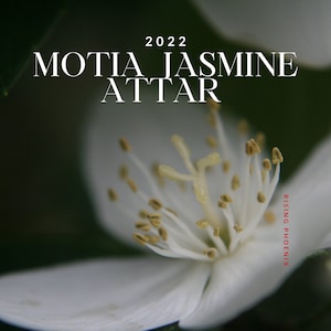 Motia Jasmine Attar 2022 - Traditional Indian Attar