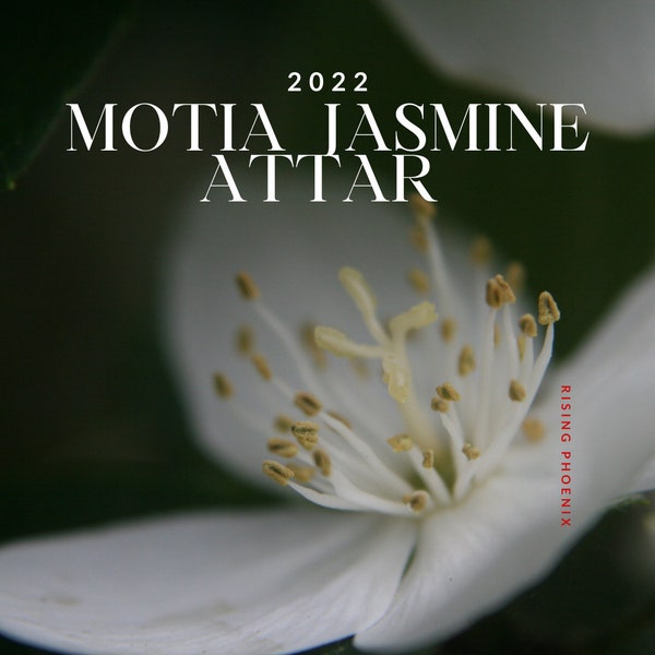 Motia Jasmijn Attar 2022 - Traditionele Indiase Attar