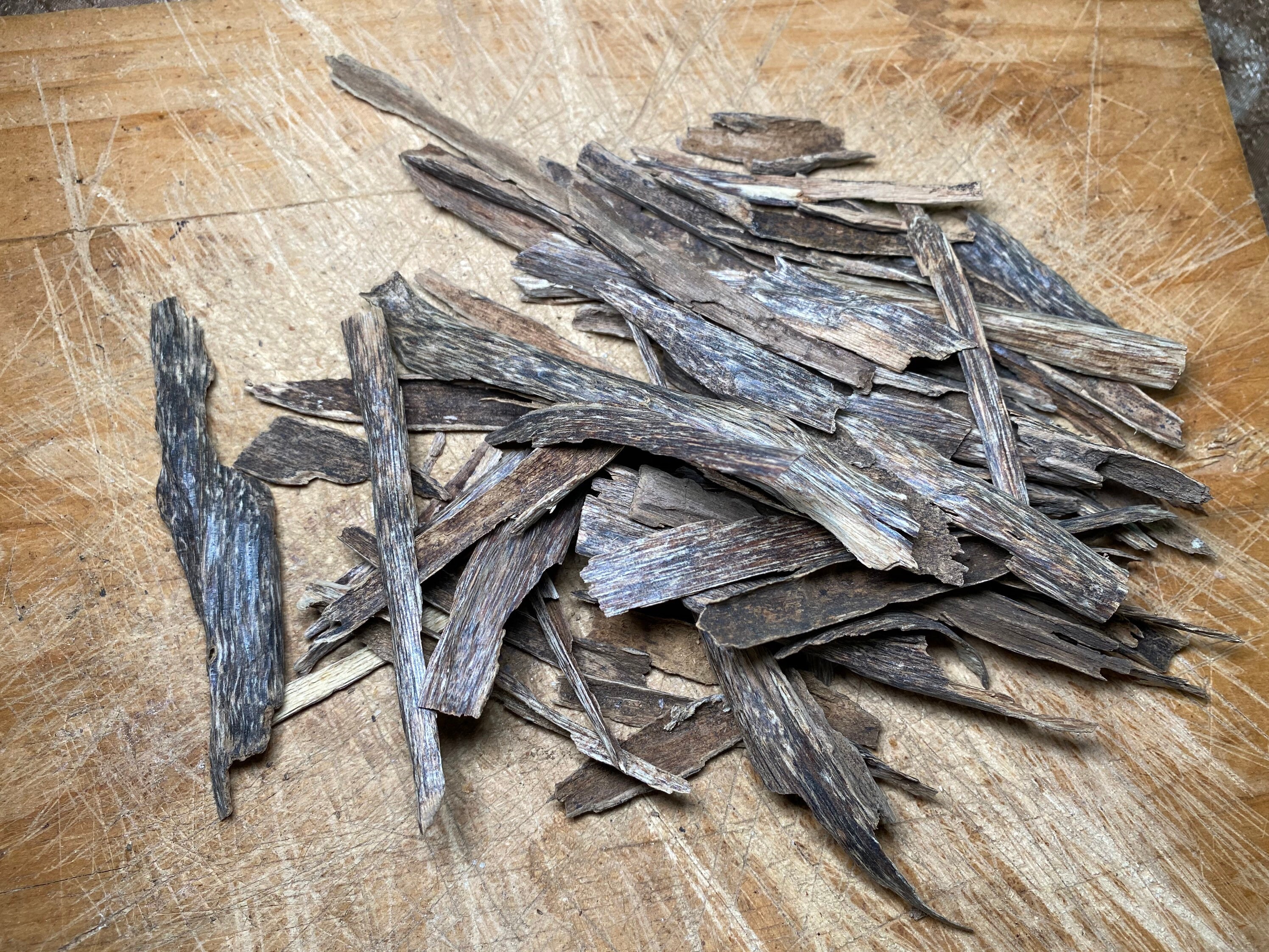 Manipur 2021 Wild Hindi Agarwood Chips Indian Oud Etsy