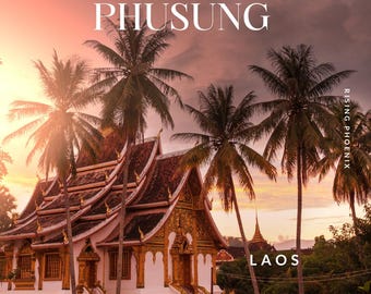 Phusung 2018 B3: Aceite de oudh puro orgánico de Laos - Perfumería Rising Phoenix