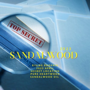 Sandalwood Secrets 2023 : A Rare Secret Location Pure Heartwood Sandalwood Oil - Santalum Album