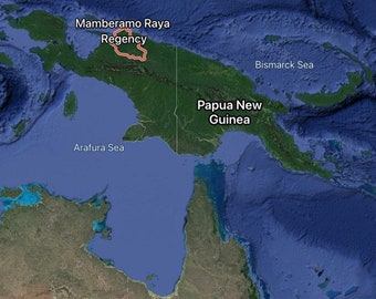 Memberamo Raya Kalakassi Senkoh 2021: Varitas de incienso de Papúa del Norte - Varitas de incienso - Serie Indonesia