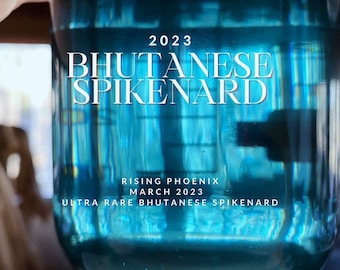 Bhutan Blue - Bhutanese Spikenard Oil - Nardostachys jatamansi - Muskroot - Rising Phoenix Perfumery