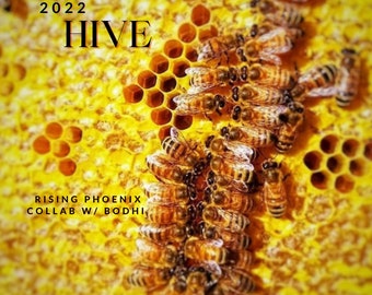 Hive Attar 2020 : Collaboration with Bodhi