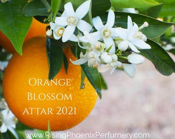 Orange Blossom Attar 2020: Kwiat pomarańczy / Neroli, drzewo sandałowe i destylowana pomarańcza - seria Shibui Attars