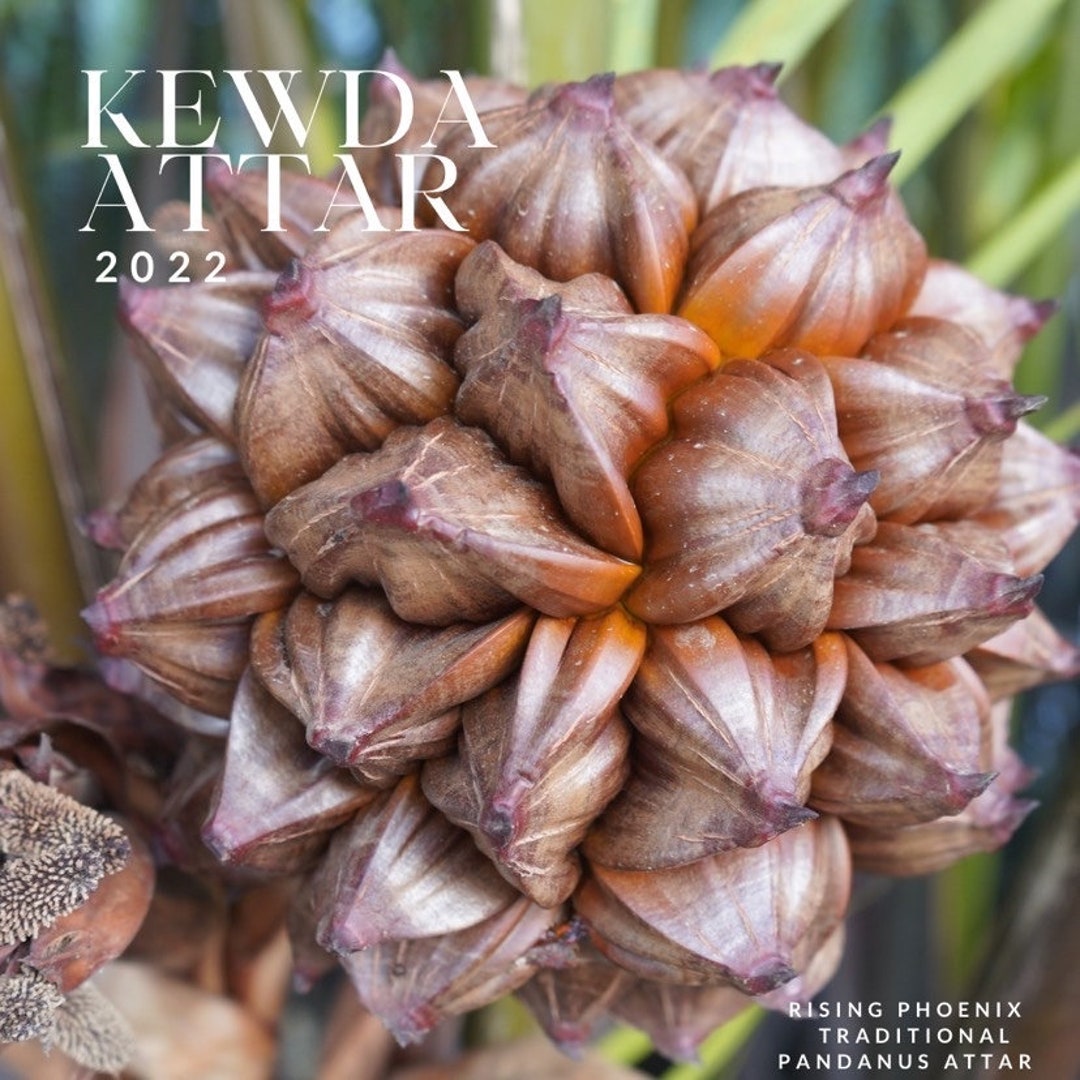 Kewda Attar 2022 Traditionally Distilled Indian Kewra / Keora Attar