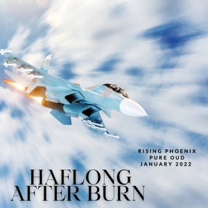 Haflong After Burn 2022 - Pure Indian Oud Oil - Hindi Dehn al Oudh