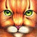 Propietario de <a href='https://www.etsy.com/es/shop/MoonphireDesign?ref=l2-about-shopname&from_page=listing' class='wt-text-link'>MoonphireDesign</a>