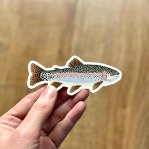 May include: A colorful sticker featuring a detailed illustration of a rainbow trout. The fish has brown fins, a speckled back, and a pink stripe along its side. The sticker is on a white background.