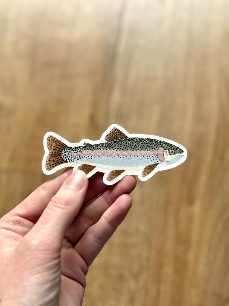May include: A colorful sticker featuring a detailed illustration of a rainbow trout. The fish has brown fins, a speckled back, and a pink stripe along its side. The sticker is on a white background.