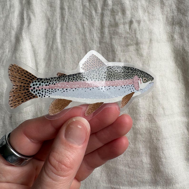 Rainbow Trout Sticker - vinyl sticker, phone case sticker, water bottle sticker, PVC free sticker, Weather Resistant, waterproof image 2