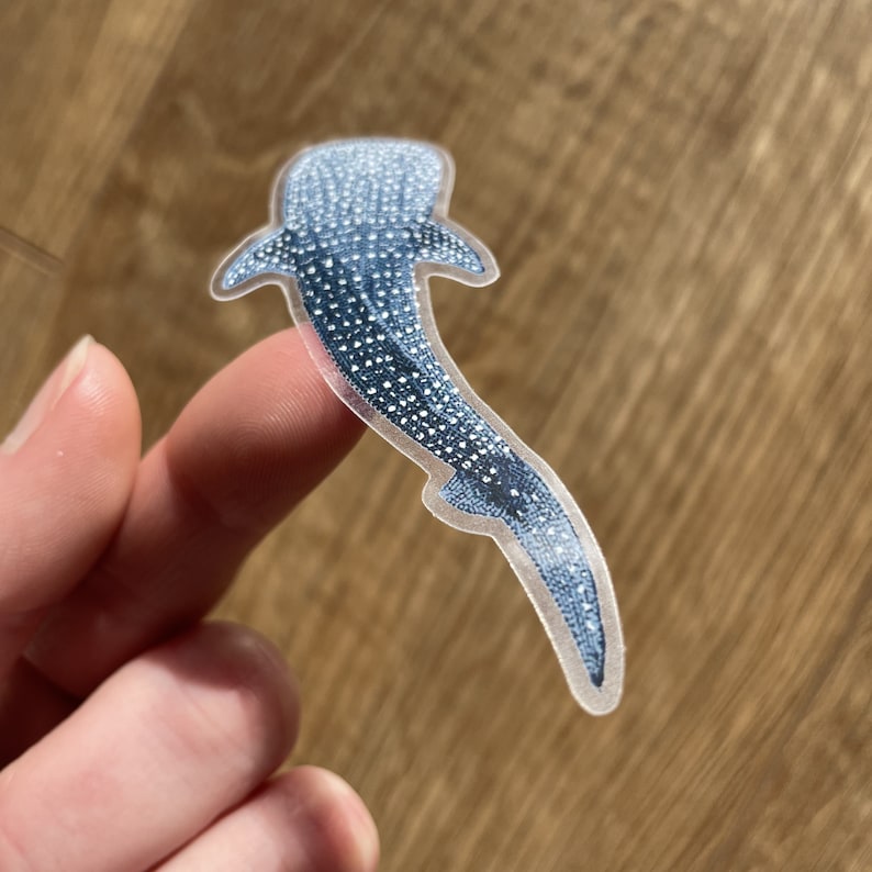 Puede incluir: Una pegatina transparente con una ilustraci&oacute;n de tibur&oacute;n ballena azul. El tibur&oacute;n est&aacute; nadando con la cola en el aire. La pegatina tiene un contorno blanco.