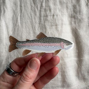 Rainbow Trout Sticker - vinyl sticker, phone case sticker, water bottle sticker, PVC free sticker, Weather Resistant, waterproof image 1